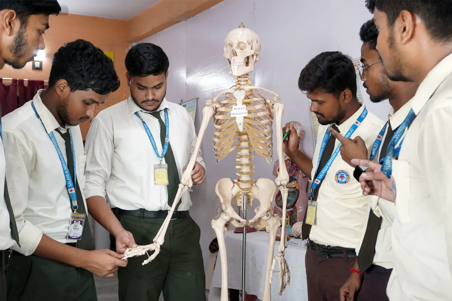 GNM Nursing